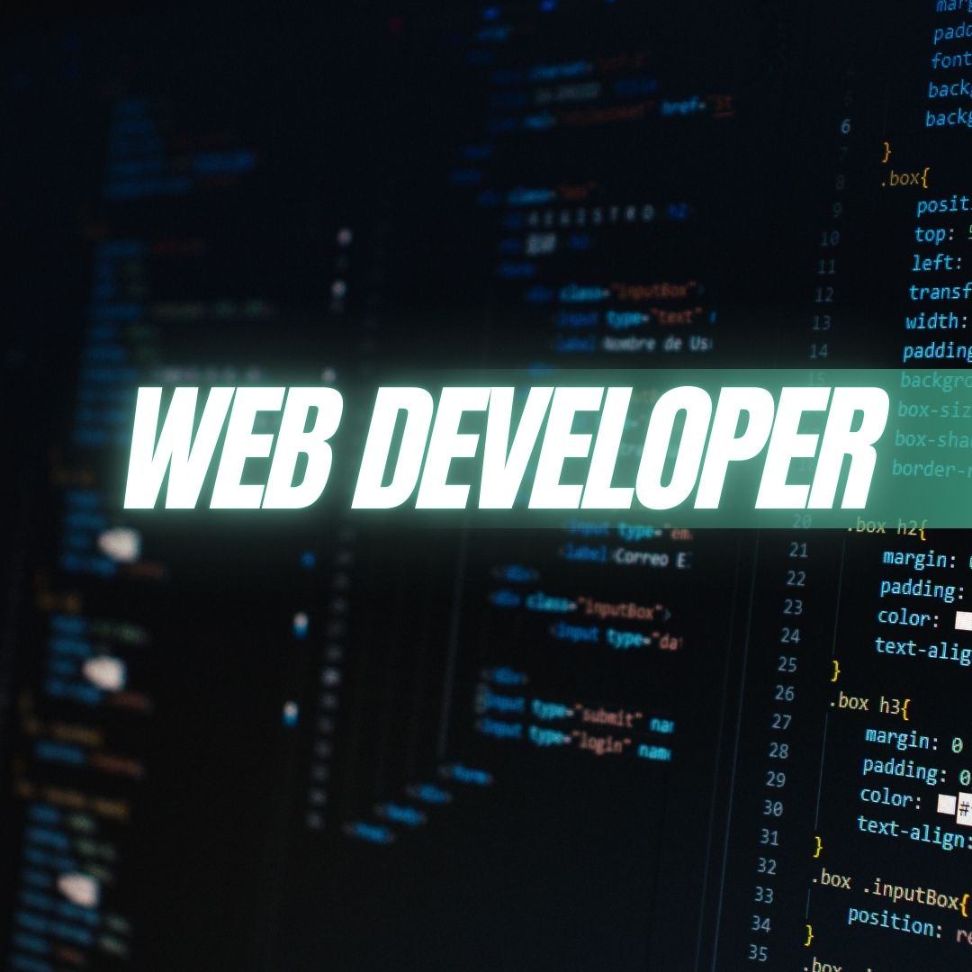 est Website Development Agency in Surat – Seathink