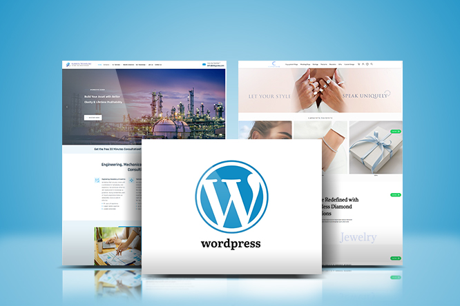 best wordpress development company
